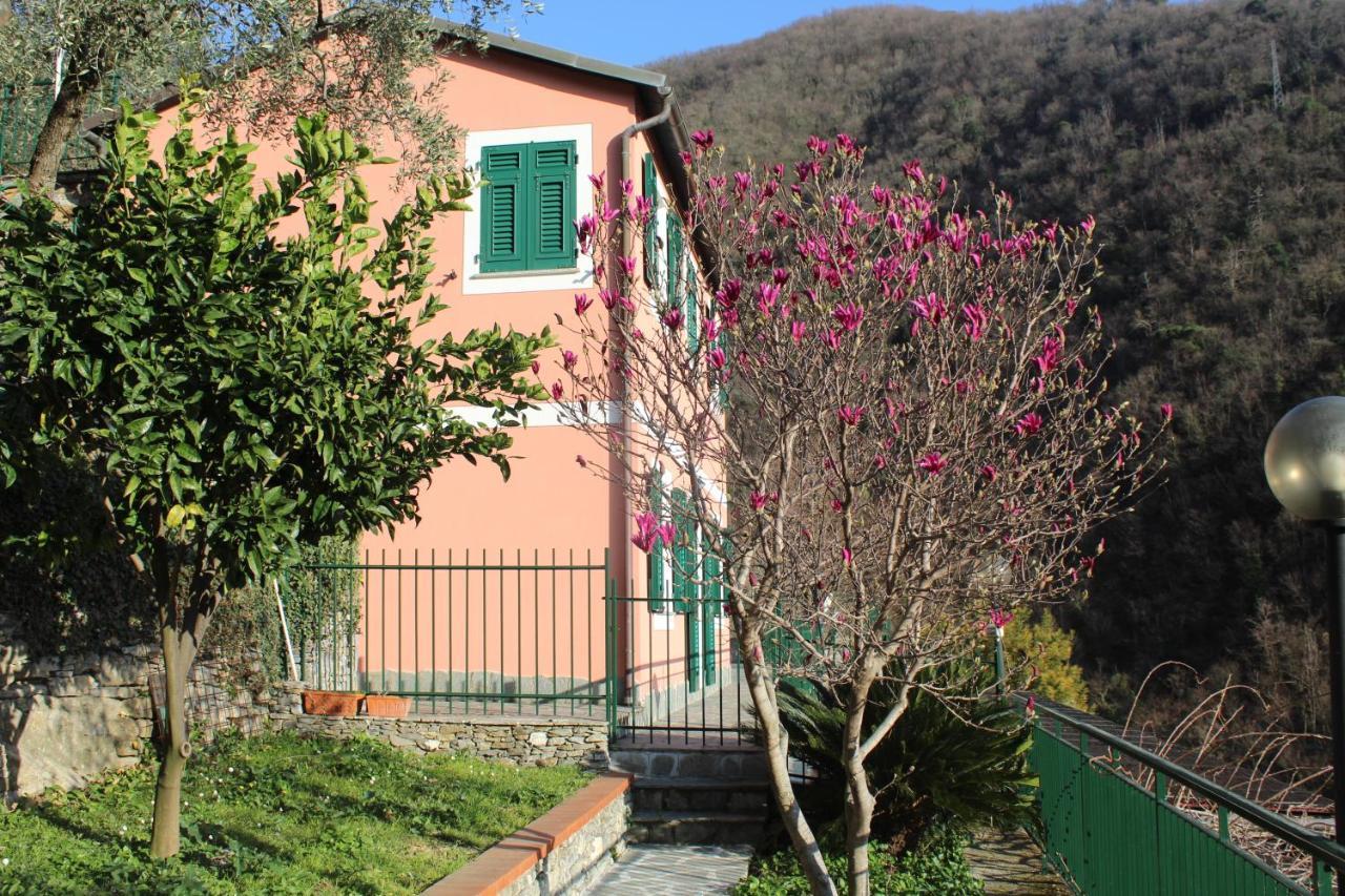 Casa Laura Villa Zoagli Eksteriør billede